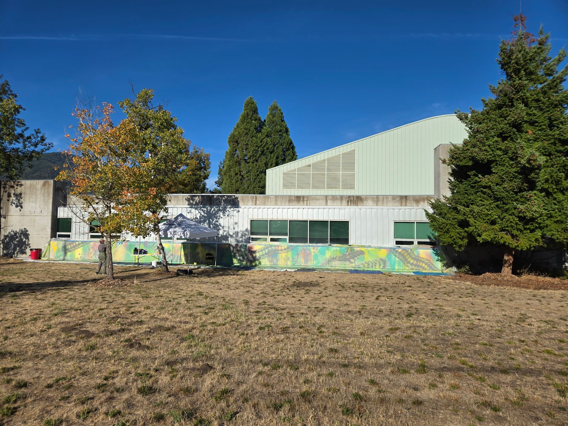 Colorful mural on a low wall with windows