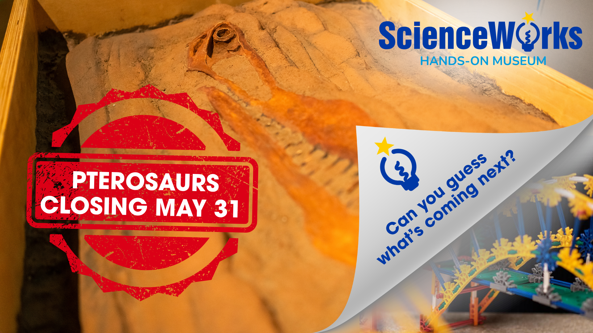 ScienceWorks Museum pterosaur exhibit photo with red “Pterosaurs closing May 31” badge and blue text saying, 