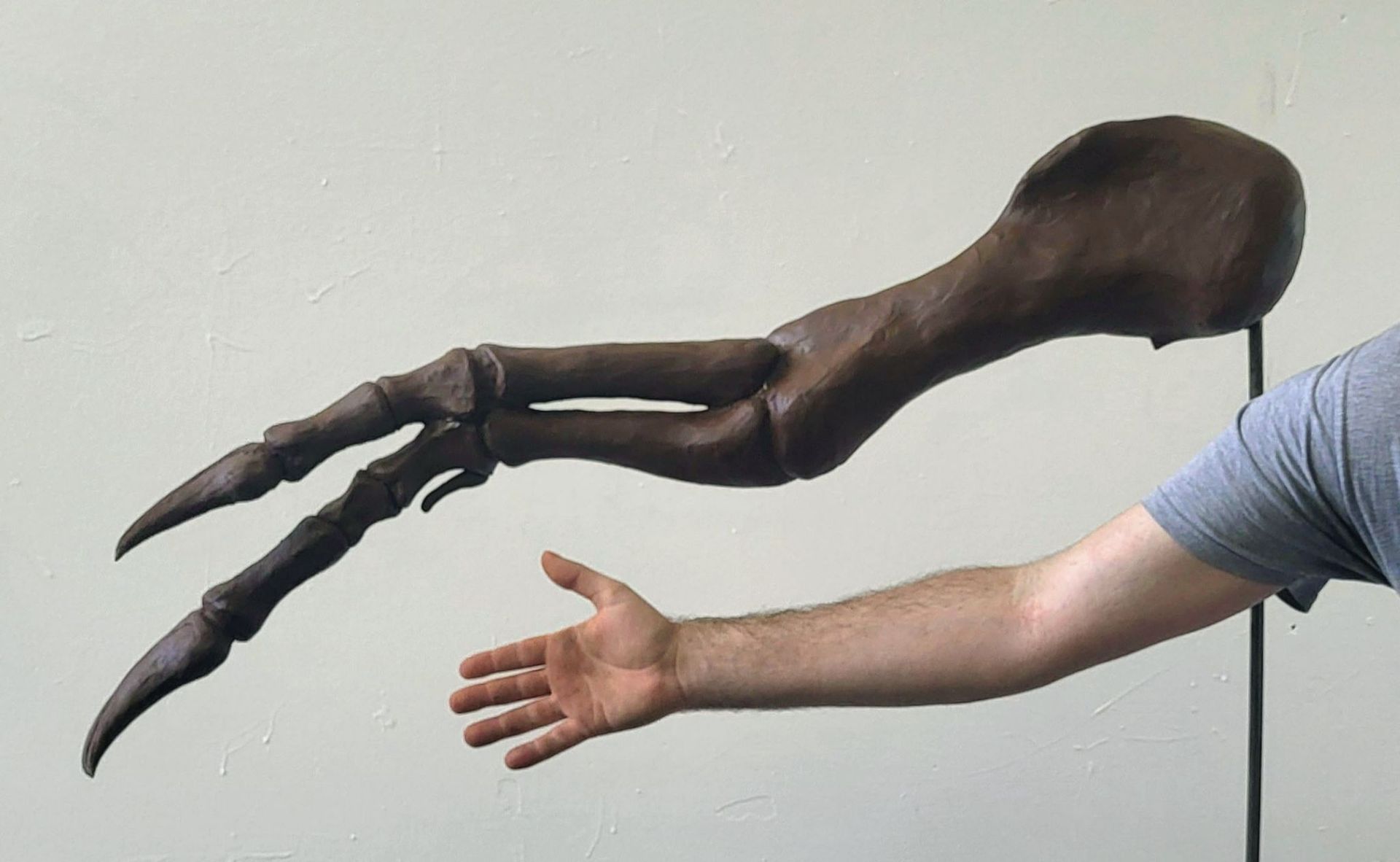 One of Drew Hogan's sculptures in a size comparison with a man's arm.