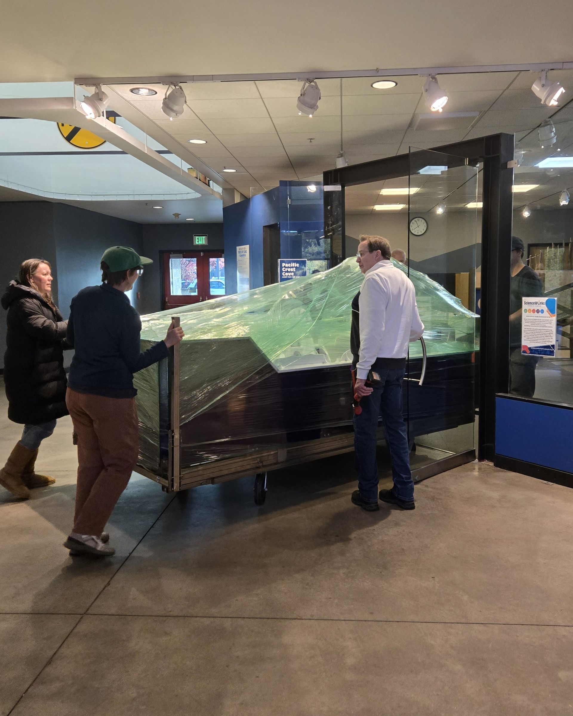 ScienceWorks staff pushing the new water table through the doors into pacific crest cove