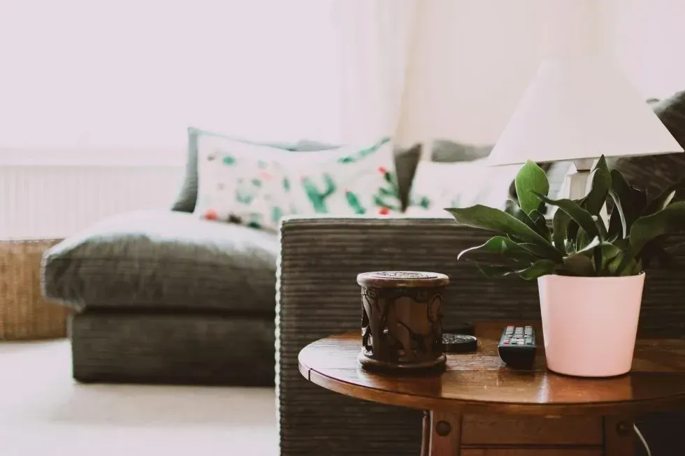 Living room with gray sofa, small wooden table, lamp, and potted plant.
