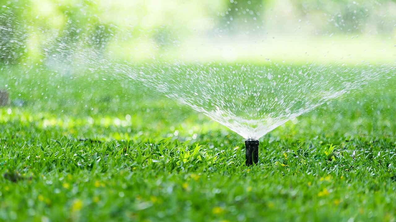 Lawn sprinkler system irrigating green grass for healthy landscape maintenance.