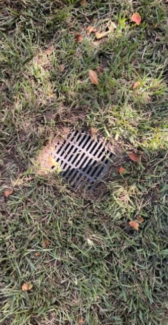 Grassy lawn with a black drainage grate centered, surrounded by fallen leaves.