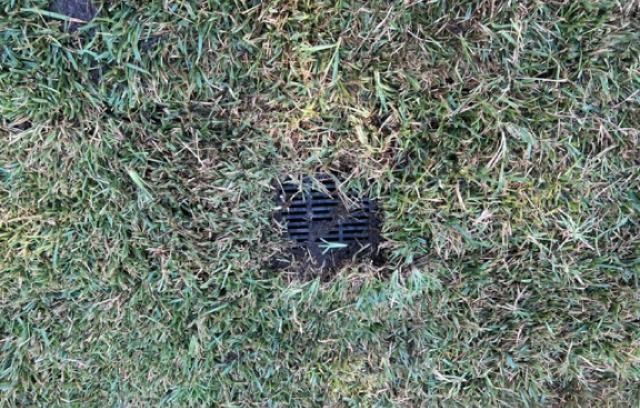Black drain cover set in patchy green and brown grass.