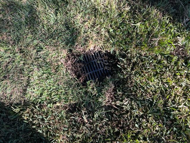Black drainage grate recessed in patchy green grass.