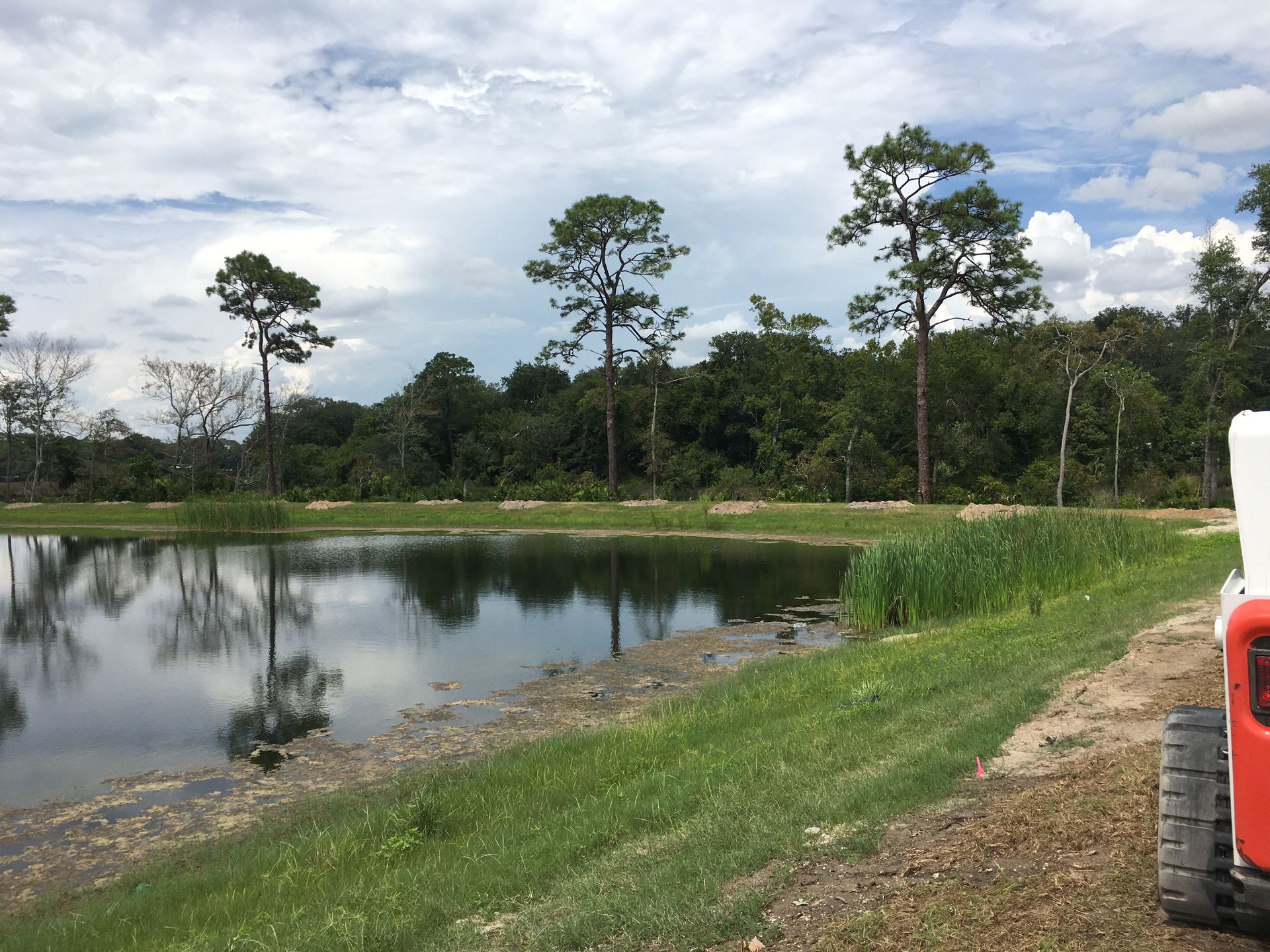 Pond with reflections, surrounded by grass and trees under a cloudy sky.