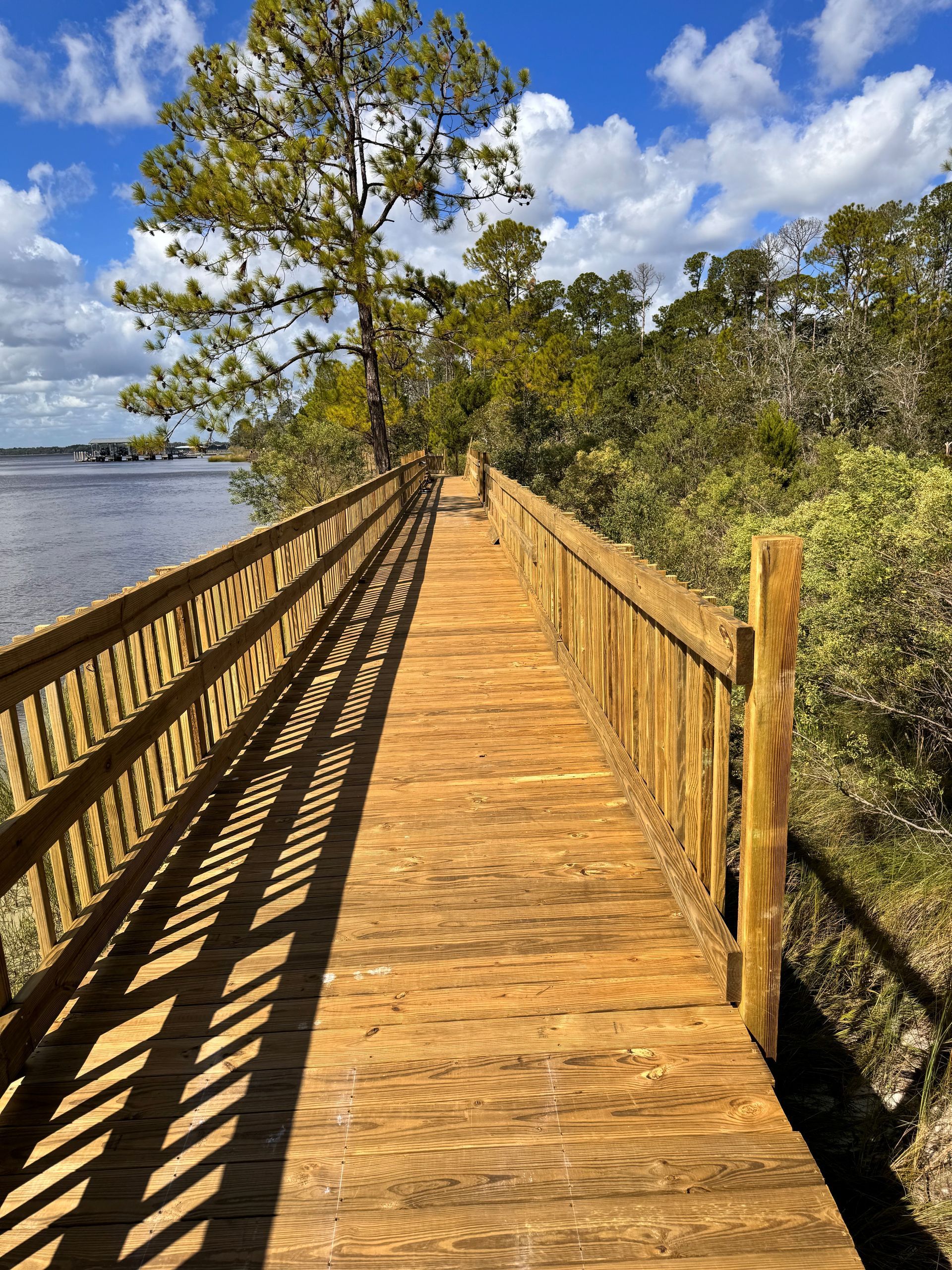 Wooden boardwalk along water, shaded by a tall pine tree, sunny day with blue sky and clouds.