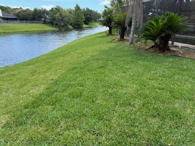 Green lawn slopes to a calm lake, bordered by palm trees on a sunny day.
