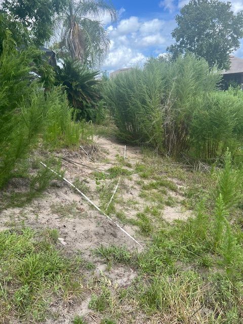 Sandy, overgrown lot with weeds, tall shrubs, and a cloudy sky.