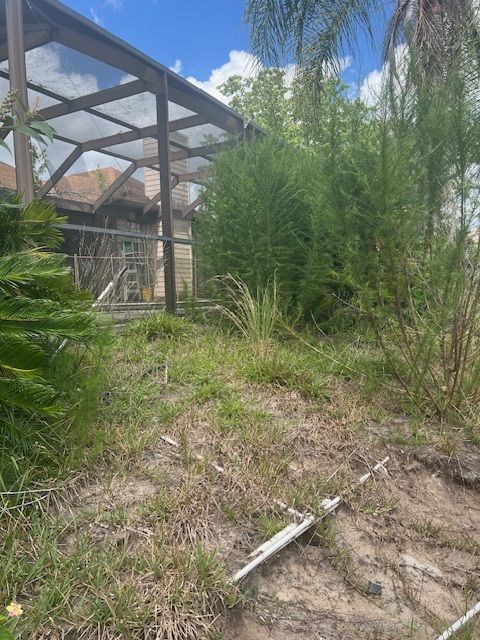 Overgrown backyard with a screened enclosure. Tall weeds and grass cover the ground near the structure.