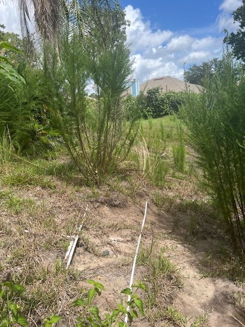 Overgrown, sloped terrain with tall, thin green plants, bare dirt, and a distant house under a cloudy sky.