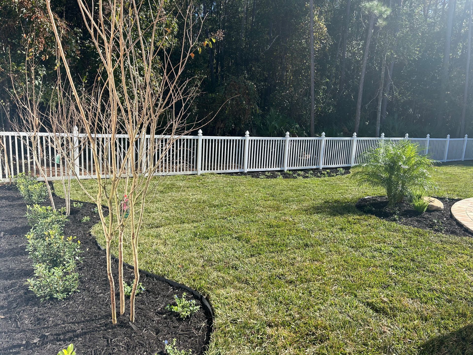 Lawn with white fence, mulched flower beds, and trees. Green grass and bright sunlight.