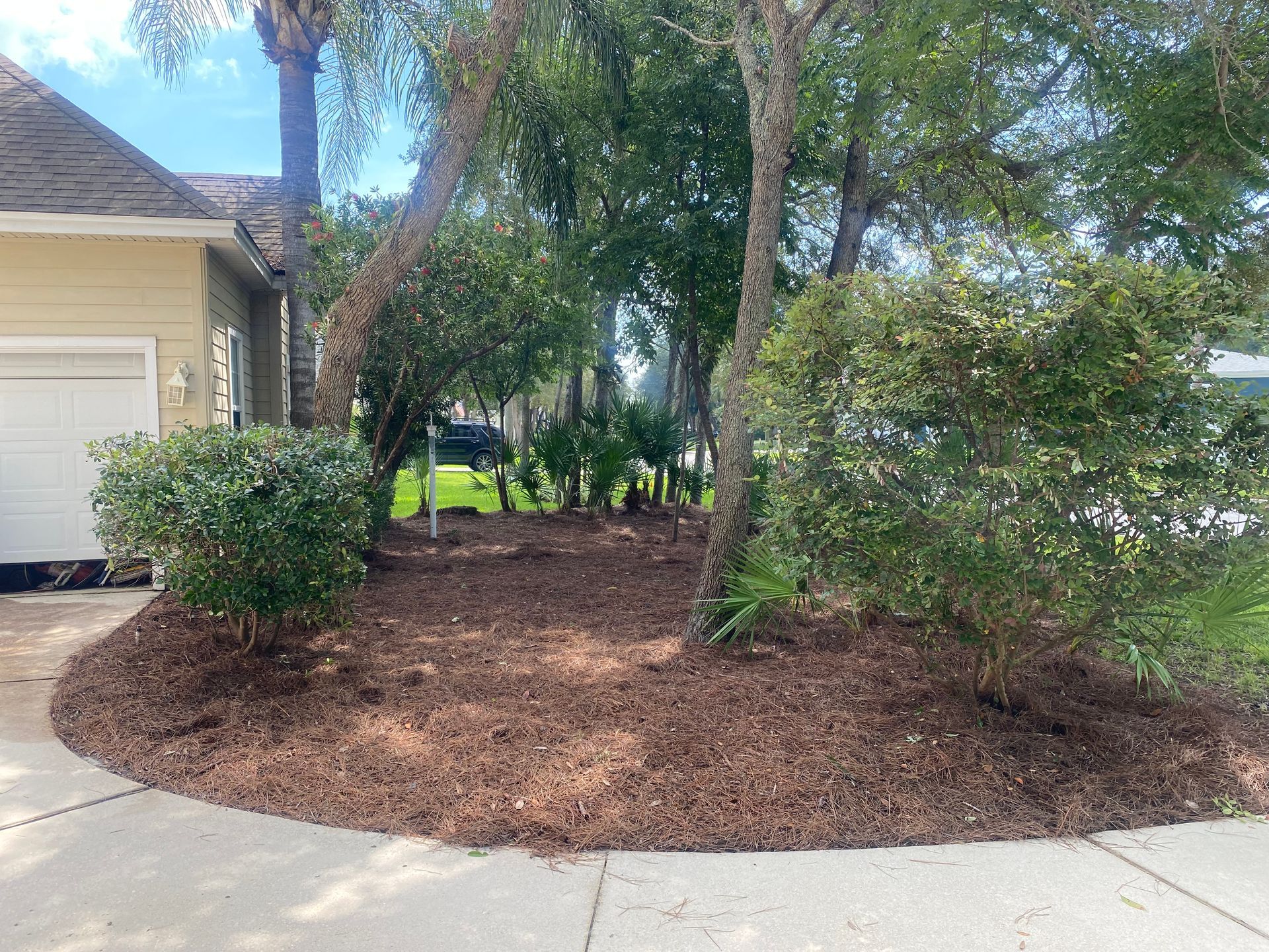 Brown mulch covers a landscaped area near a light-colored house. Green bushes and trees surround the area.