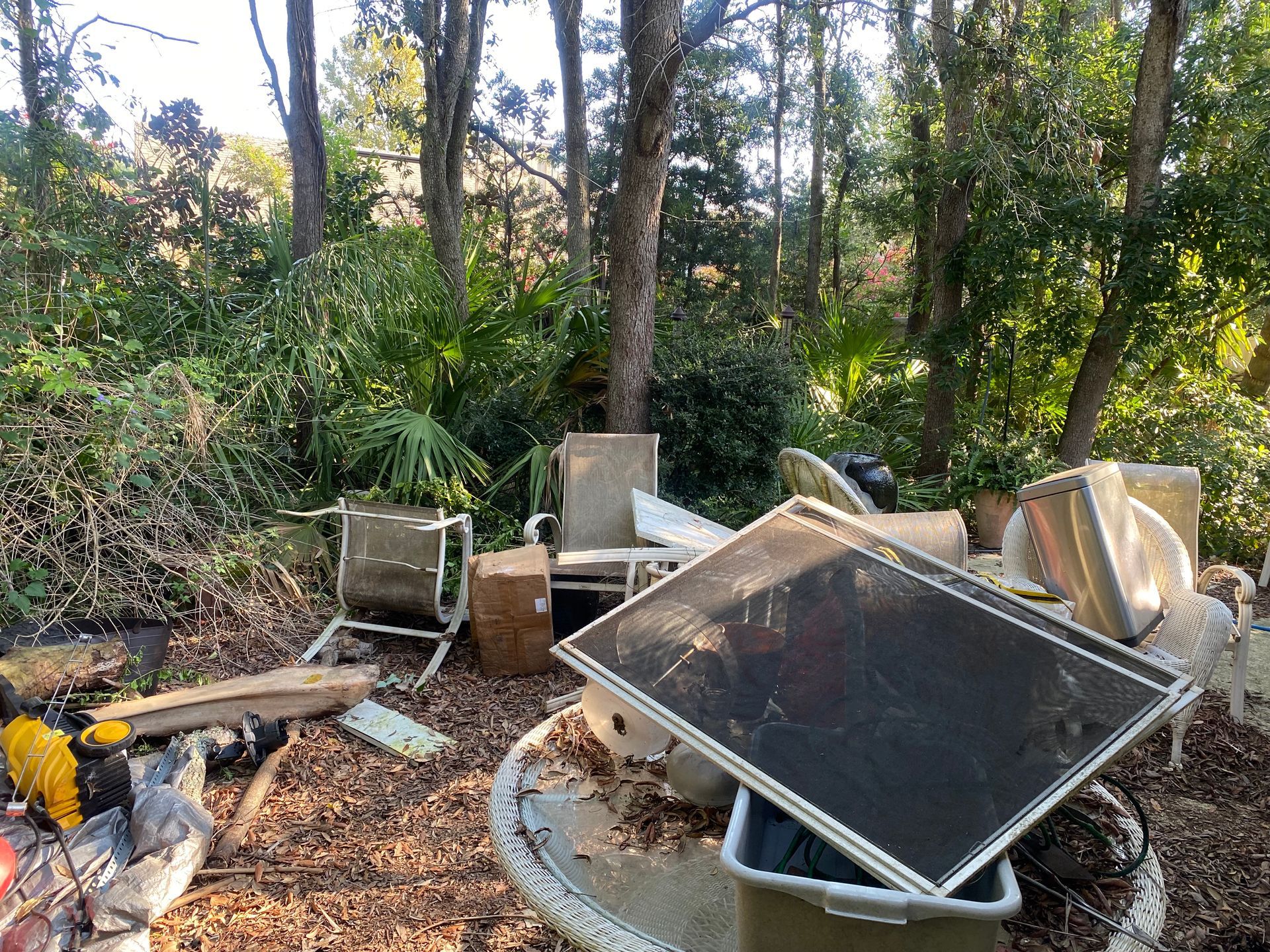 Backyard with discarded furniture and debris among trees and foliage.