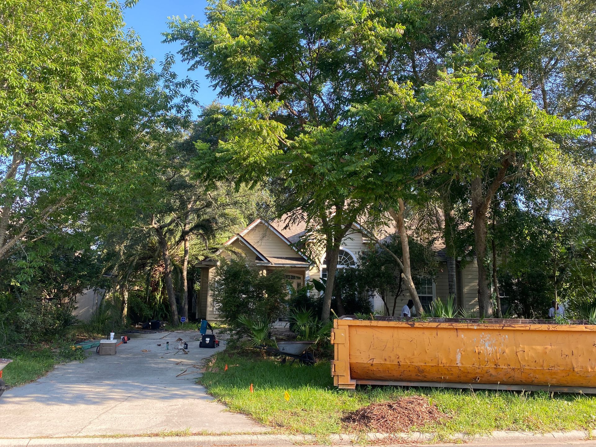 House surrounded by trees, with a large dumpster in the front yard. Driveway. Sunny day.