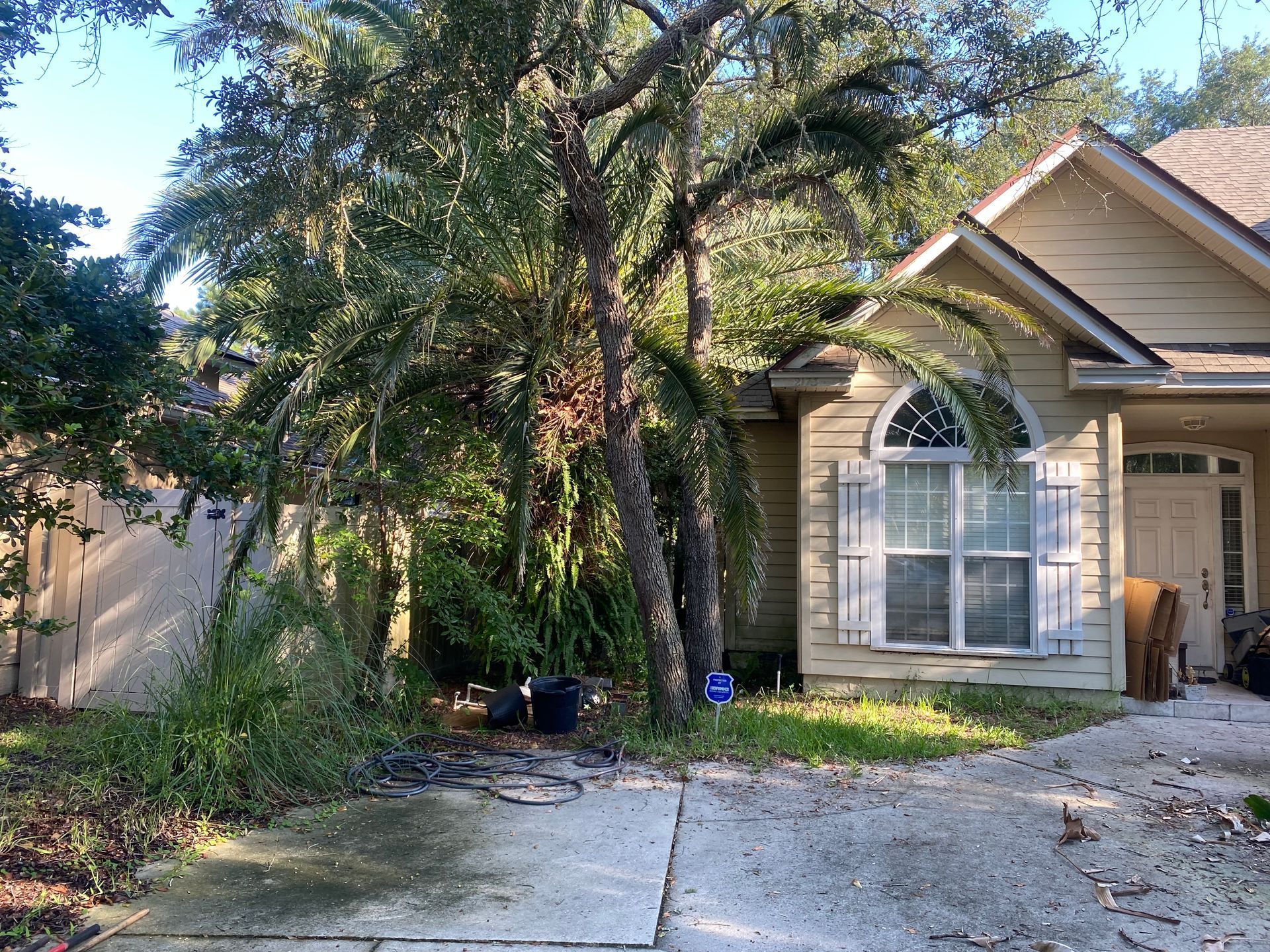 House exterior with overgrown landscaping, including palm trees and a driveway.
