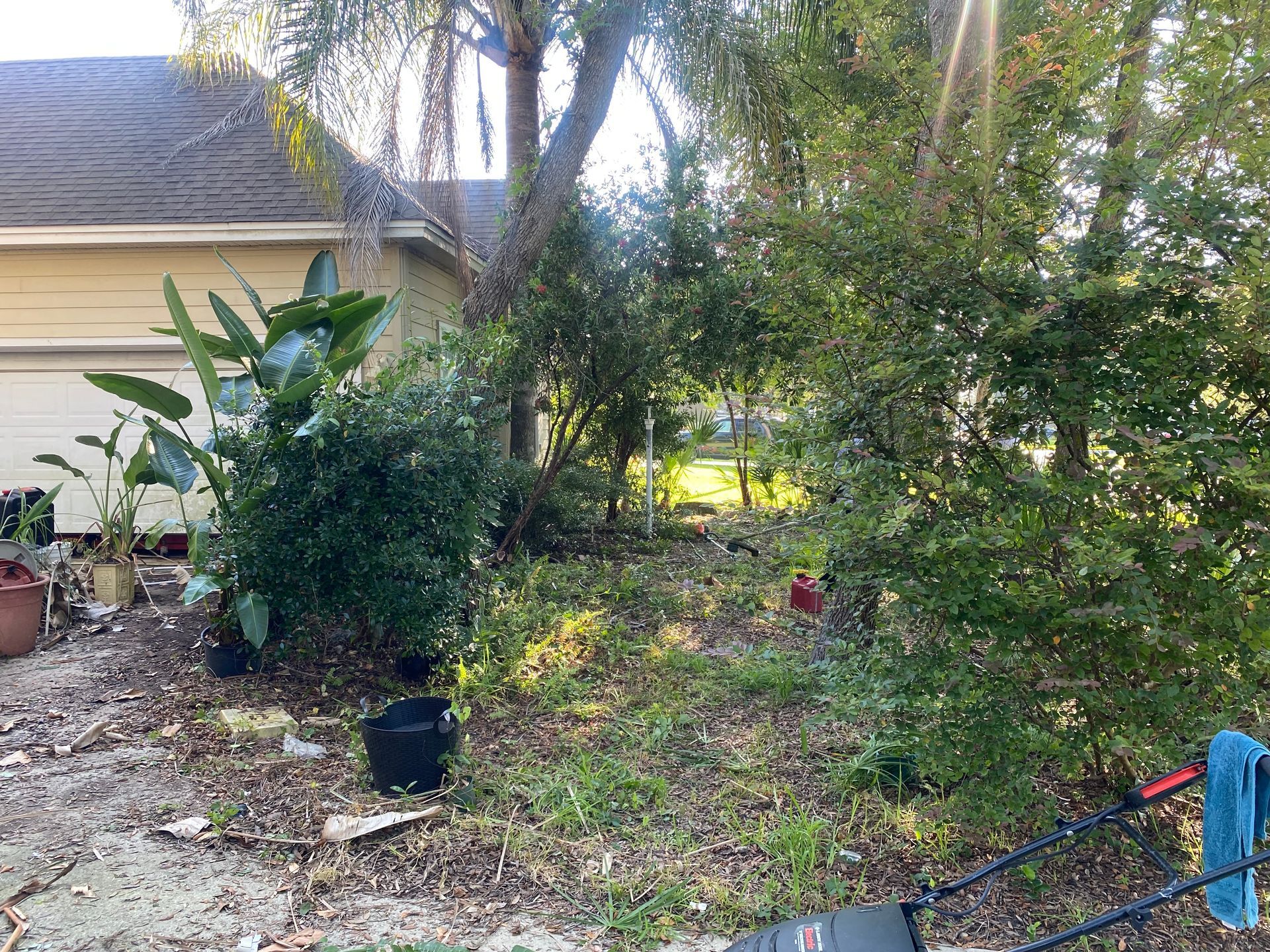 Yard with a house, various shrubs, and a lawnmower on the ground.