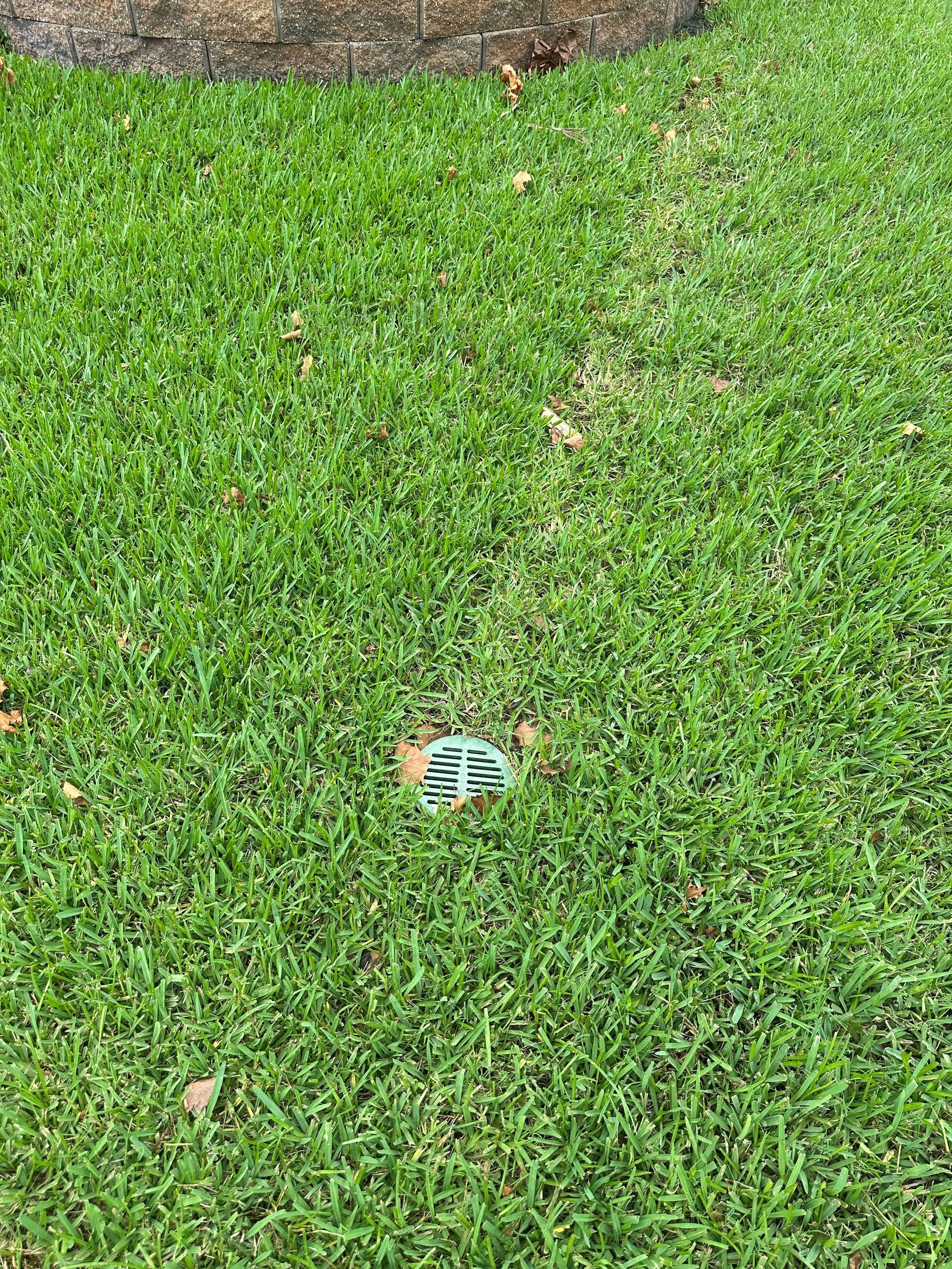Green lawn with a small, round drain.