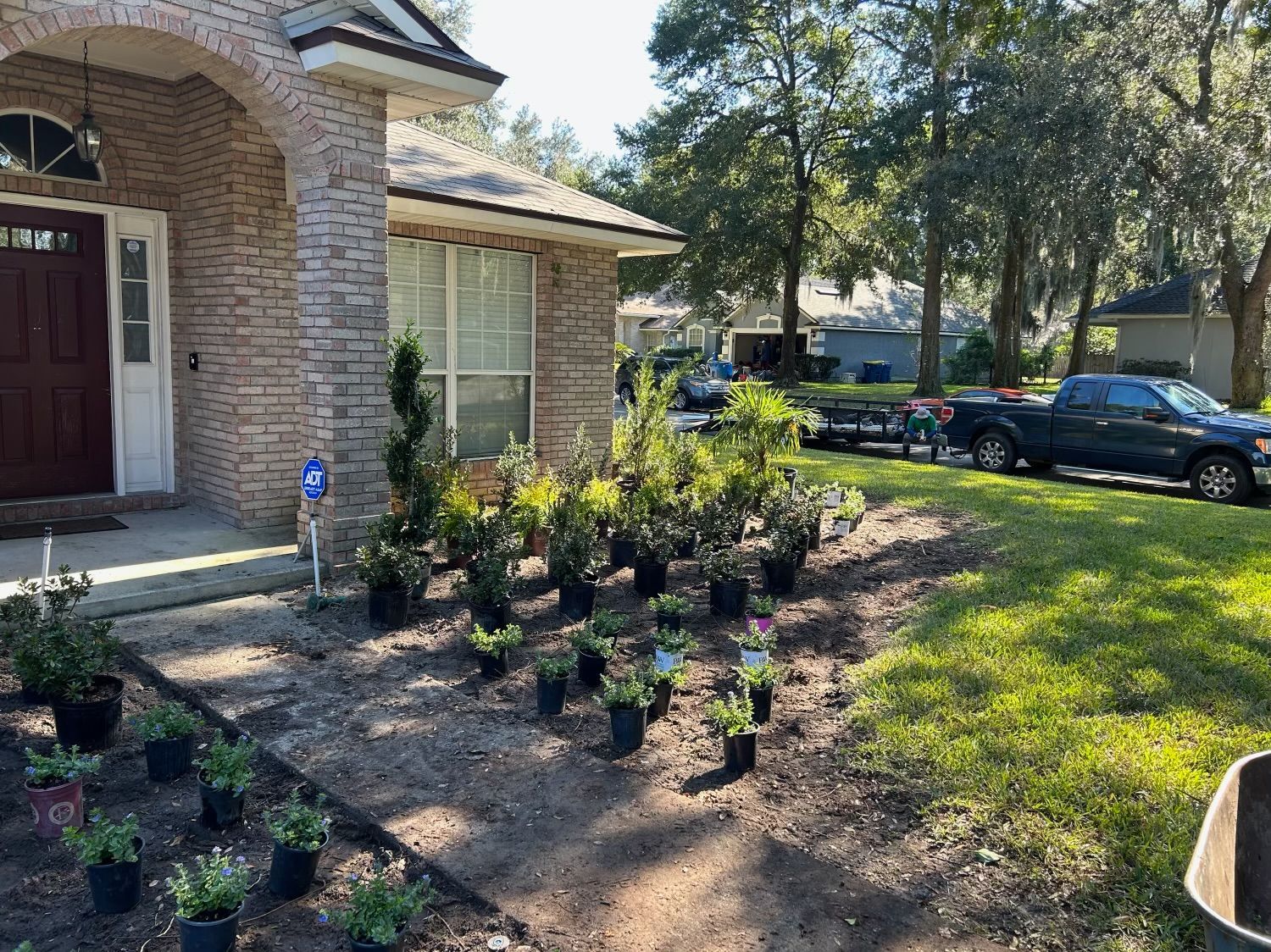 Front yard landscaping project: potted plants arranged on bare earth, house in the background.