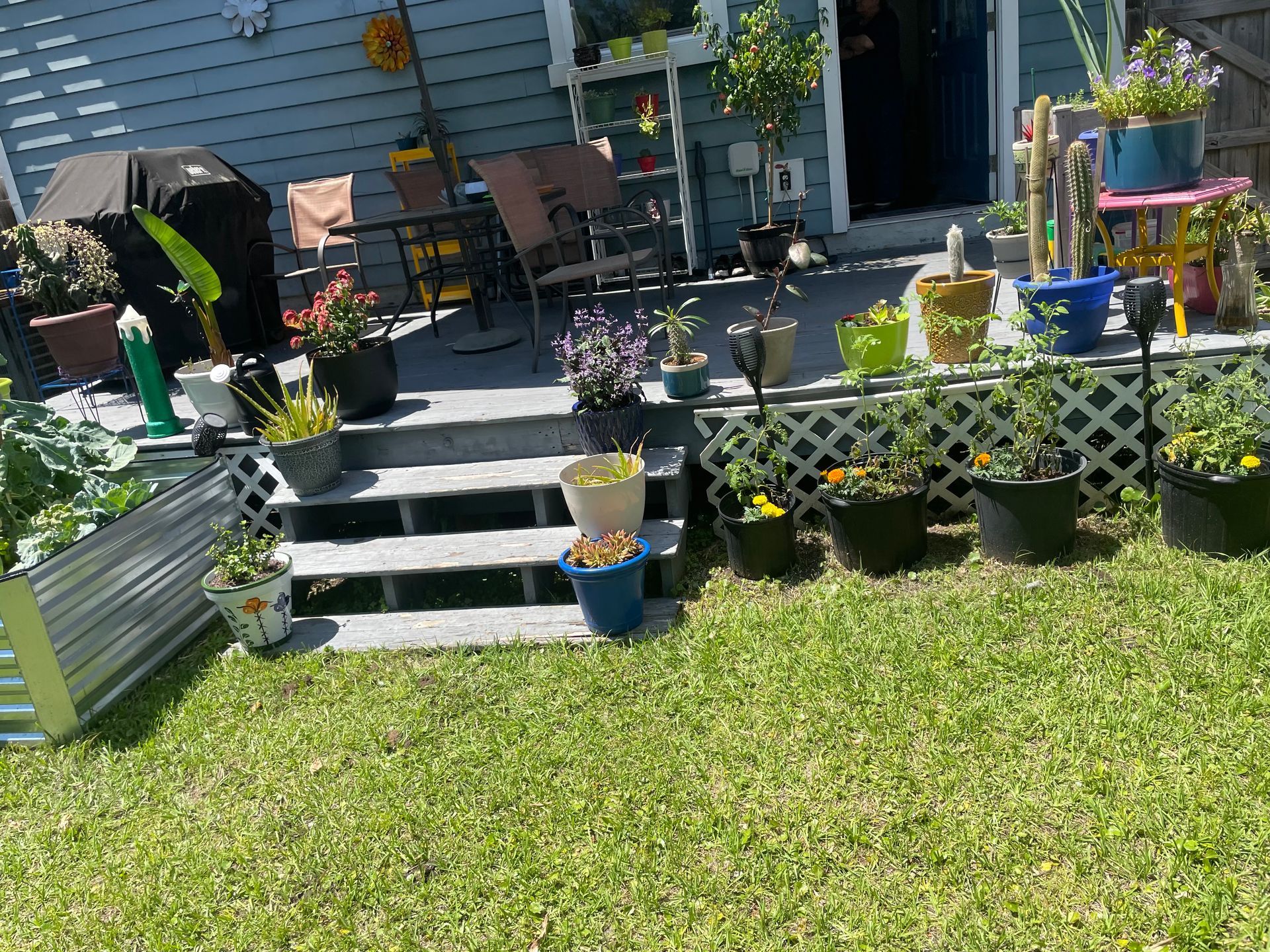 Backyard deck with potted plants, lawn, grill, and outdoor seating.