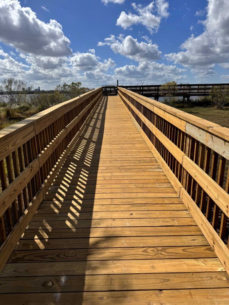Wooden boardwalk extending over wetlands under a blue sky with fluffy clouds.