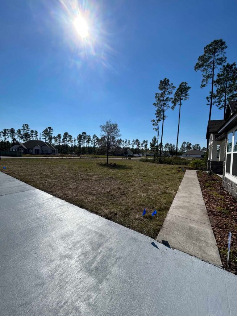 Sunny view of a grassy lot with a concrete driveway and walkway, tall pine trees, and houses in the distance.