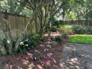 Trees and garden bed with pink flowers in front of a wooden fence and green grass.
