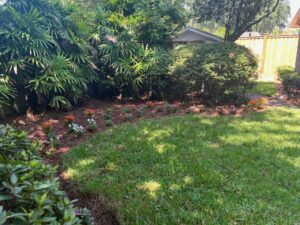 Backyard garden with green lawn, shrubs, and trees beside a wooden fence and patio area