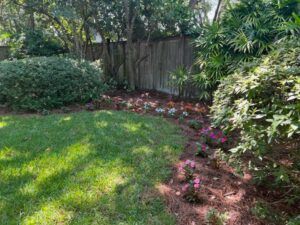 Green lawn leading to a flower bed with pink blooms, bordered by a wooden fence and shrubs.