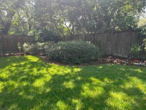 Green lawn with shade, bushes, and a wooden fence. Trees are in the background, sunny.