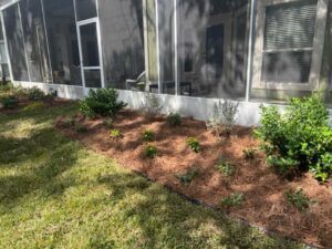 A garden bed with plants, mulched with pine needles, along the side of a screened porch.