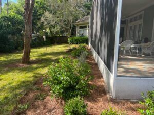 Green lawn with shrubs bordering the side of a screened porch, pine straw, trees in the background.