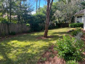 A backyard with a grassy lawn, a wooden fence, bushes, and a tree, under a bright sky.