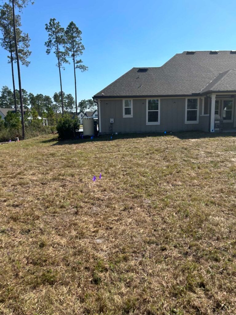 A house with a yard. The grass is brown. Tall pine trees in the background under a blue sky.