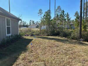 Backyard with dry grass, trees, and house. Blue flags in the ground. Sunny, outdoor setting.