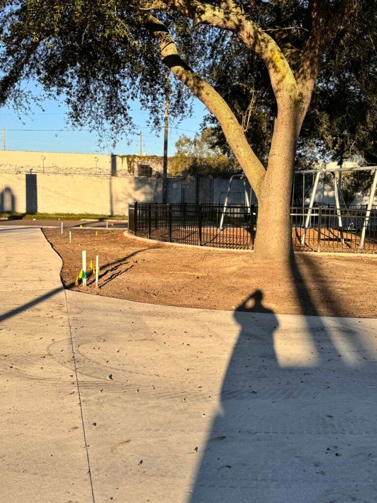 A tree in a park with a concrete path, mulch, and a playground fence. A long shadow is cast on the path.