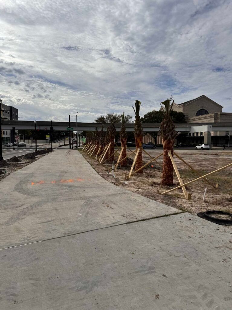 Concrete pathway with young trees supported by wooden braces, and a building under a cloudy sky.