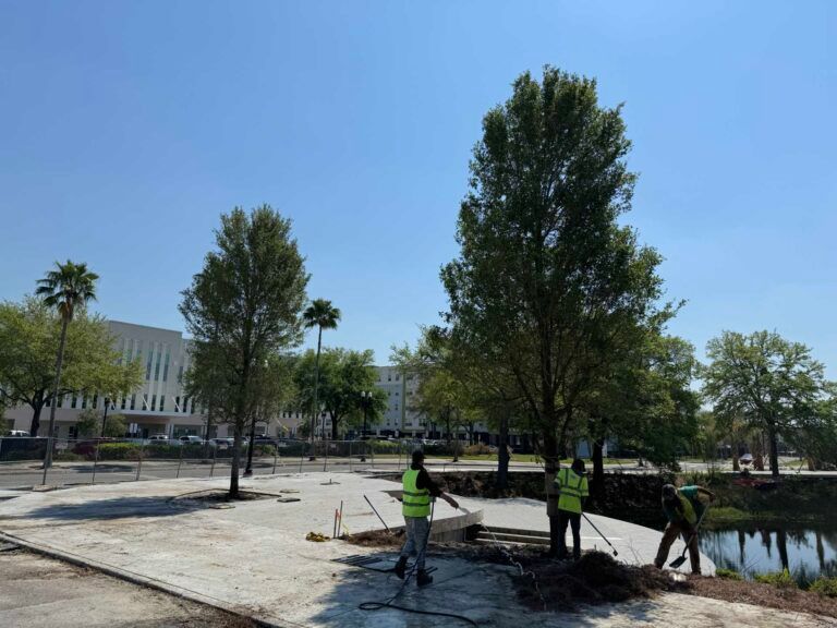 Workers in safety vests cleaning debris near trees and a building on a sunny day.