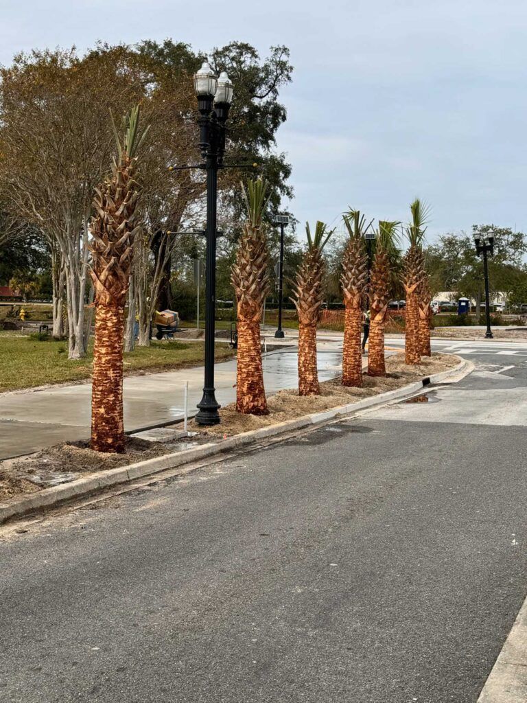 Palm trees line a paved road, next to a sidewalk and lamppost. Cloudy sky.