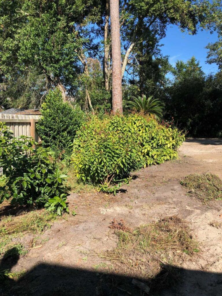 Sunny backyard with trees, shrubs, a wooden fence, and a dirt path