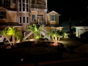 Illuminated house at night with palm trees and a driveway in front