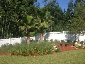 Backyard landscape with palm trees, shrubs, white fence, and green grass under a blue sky.