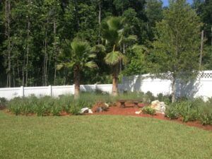 Palm trees and landscaping in a backyard with a white fence, green lawn, and wooded backdrop.