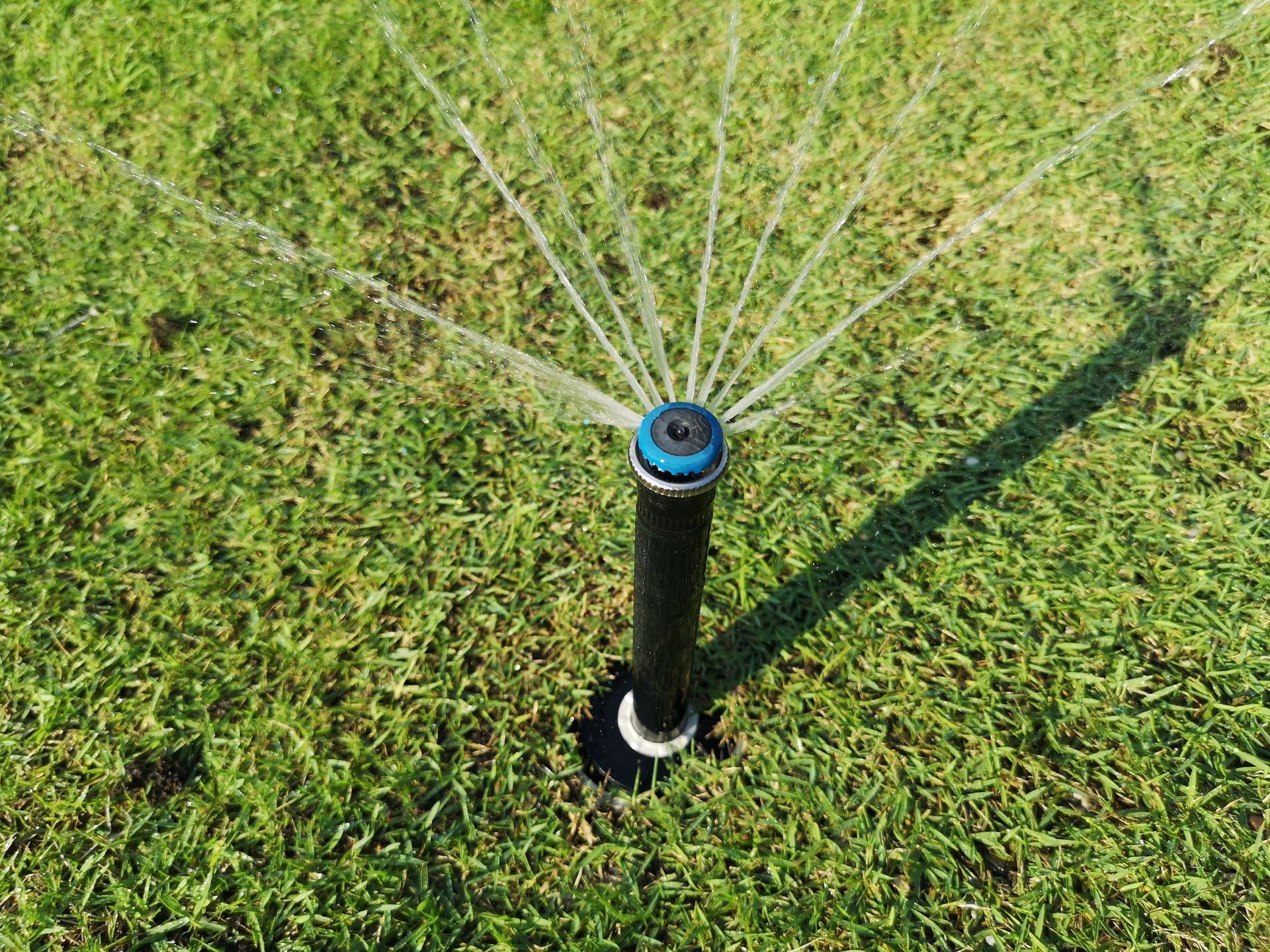 Small black lawn sprinkler spraying water over green grass in bright sunlight