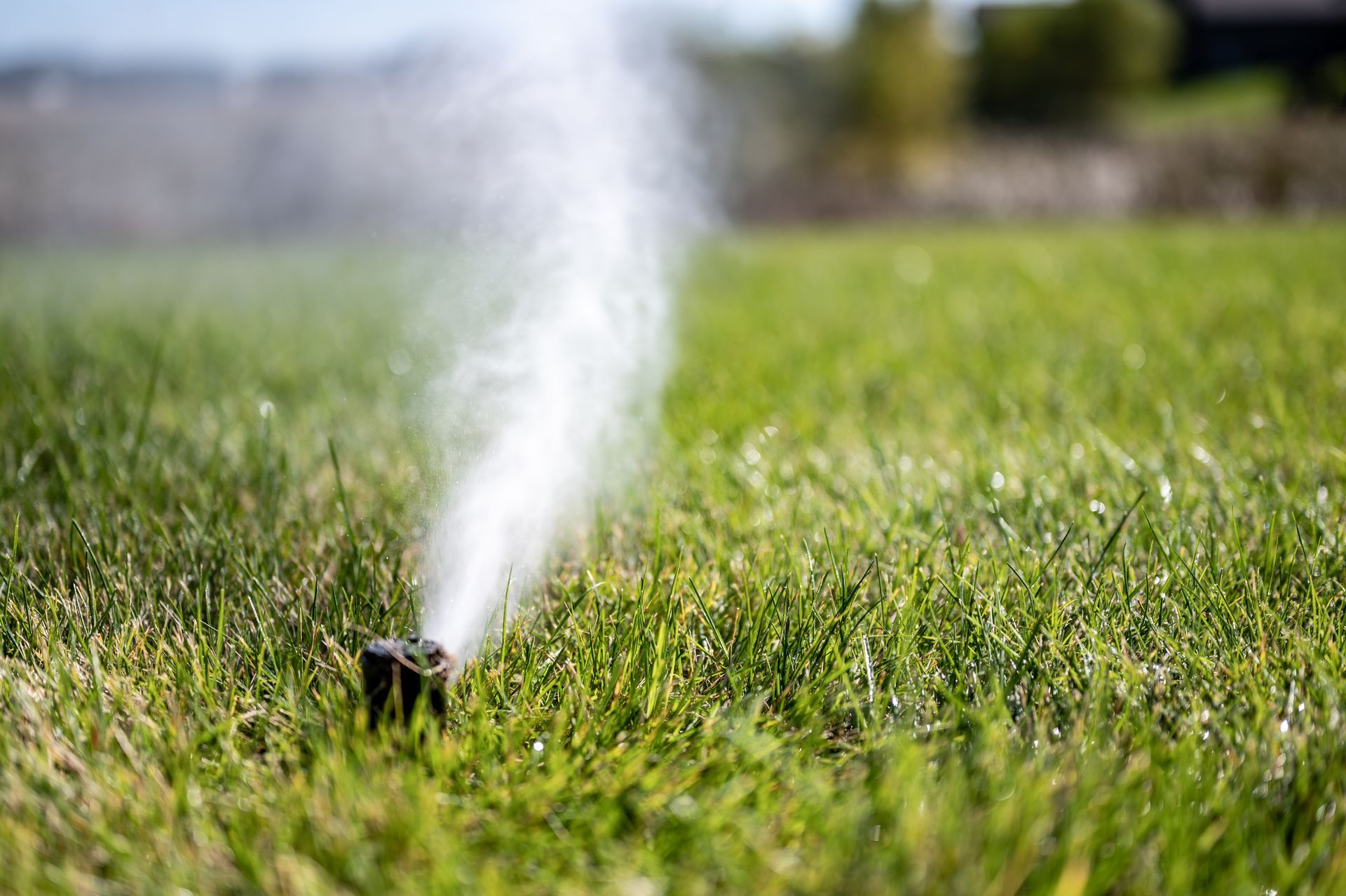 Sprinkler spraying water over a green lawn outdoors