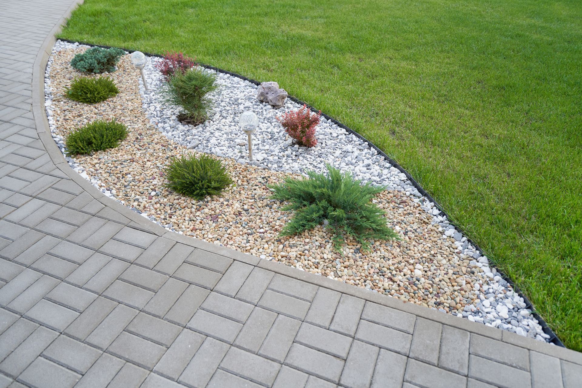Curved garden bed with white stones and small shrubs beside a paved walkway and green lawn
