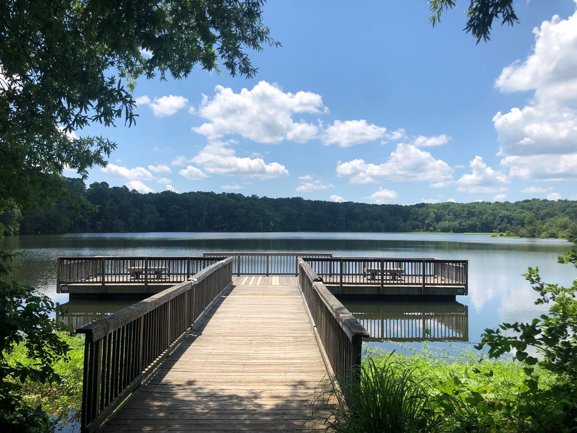 Wooden dock extending to a calm lake under a blue sky with clouds, surrounded by trees