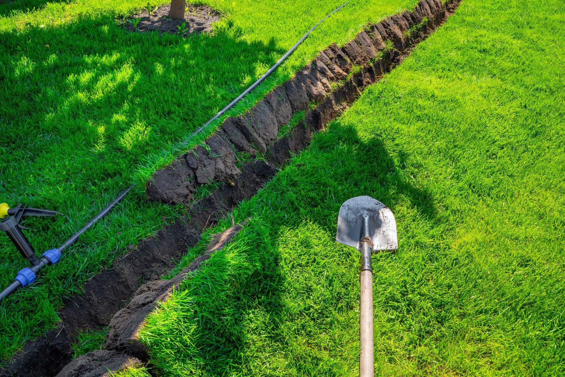 Two shovels beside a narrow trench in bright green grass under sunlight