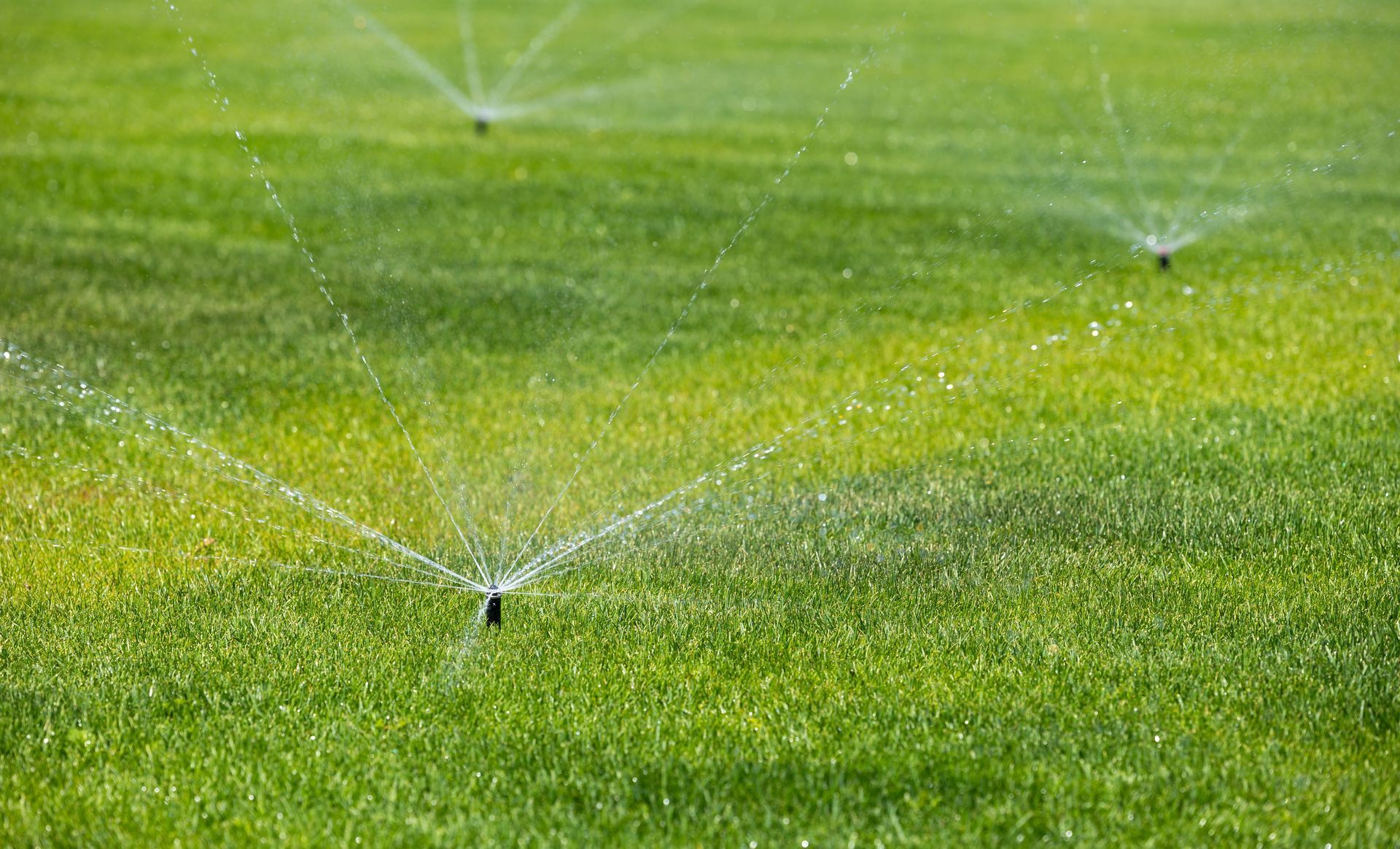 Sprinklers watering a bright green lawn in a sunny field