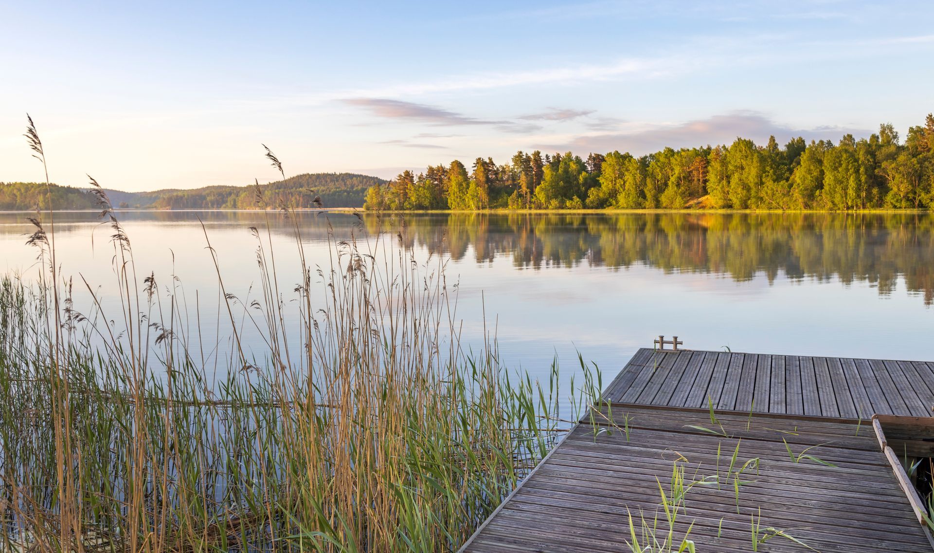 Quiet lake at sunrise with reeds, forested shore, and a wooden dock in the foreground.